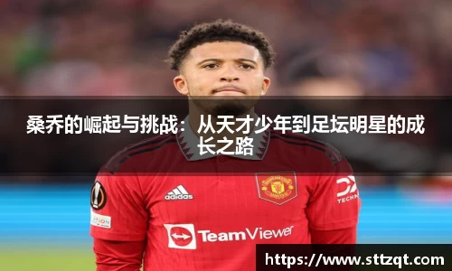 PT视讯平台